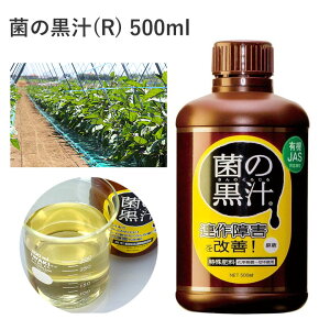 ۂ̍`(R) AQy 500ml | yǍ A ۂ̍` L K[fjO TL y    L@t  tʎUz