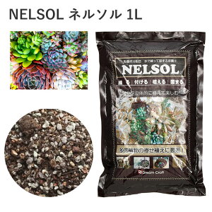 NELSOL l\ 1L py l\ A A  SC̐ |  R