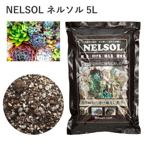NELSOL l\ 5L py l\ A A  SC̐ |  R