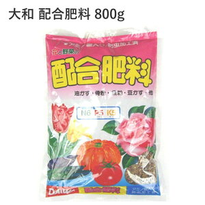 a z엿 800g 엿 z엿    | A  Ԗ    L@    ʎ o