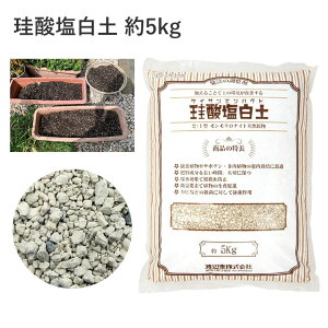 ]_y 5kg ]_y h~ 瑣i Ëۍp ]_y VRz | A Ԗ   y