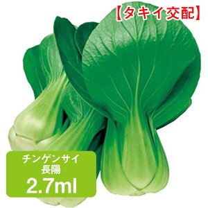 `QTC z ^LCz 2.7ml ƒ؉   q K[fjO ͔| _ ؍   ʔ ₷ ^LC 