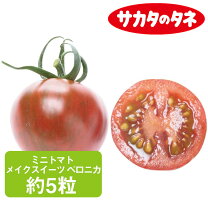ぷちトマト　ヌード あうろり  
