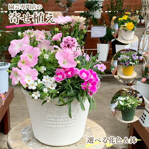 yh{܃v[gz X 񂹐A Mtg  A i G߂̂   a v[g 蕨 ֐ x_ XܑO [Mtg   O ԕc pW[ rI