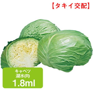 Lxc ΐ(R) ^LCz 1.8ml × ׂ ƒ؉   q K[fjO ͔| _ ؍   T_ ^LC ʔ t  H ~