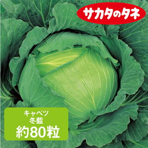 Lxc ~ TJ^z 80 × ׂ ƒ؉   q K[fjO ͔| _ ؍   T_ TJ^ TJ^̃^l ʔ t  H ~