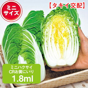 ~jnNTC CRɂ ^LCz 1,8ml ͂  ƒ؉   K[fjO ͔| _ ؍   Е Ђ L`