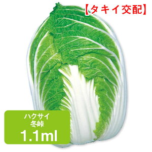 nNTC ~ ^LCz 1.1ml ͂  ƒ؉   K[fjO ͔| _ ؍   Е Ђ L`