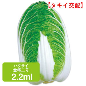 nNTC  ^LCz 2.2ml ͂  ƒ؉   K[fjO ͔| _ ؍   Е Ђ L`
