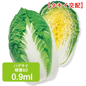 nNTC 60 ^LCz 0.9ml ͂  ƒ؉   K[fjO ͔| _ ؍   Е Ђ L`