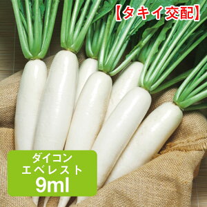 _CR GxXg ^LCz 9.0ml ƒ؉   q ܂  卪 ͔| _ ؍   ^LC ʔ ₷ Hǂ _CR 