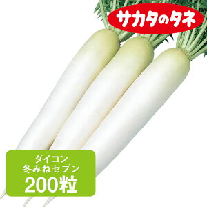 _CR ~݂˃Zu TJ^z 200 ƒ؉   q ܂  卪 ͔| _ ؍   TJ^̃^l TJ^ ʔ ₷