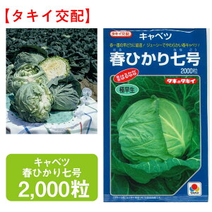 Lxc tЂ莵 ^LCz 2000 × ׂ ƒ؉   q K[fjO ͔| _ ؍   T_ ^LC ʔ t  H ~