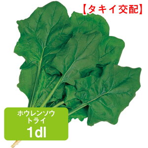 zE\E gC ^LCz 1dl ق񂻂 ق ƒ؉   K[fjO ͔| _ ؍   T_