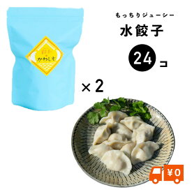 かわしも 水 餃子 24コ(12×2袋）【冷凍】 もちもち 特製 手伸ばし皮 ぎょうざ 島原豚と国産野菜を使用 もちぷる　つるっと　ジューシー　肉汁 お取り寄せグルメ 長崎 贈り物にも　水餃子