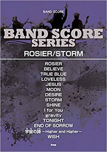 �y���@�o���h�X�R�A LUNA SEA �uROSIER�^STORM�v