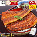【SS最大20%ポイントバック&更にライブエントリーでポイント最大10倍】父の日 まだ間に合う ＼父の日 カード無料／ う…