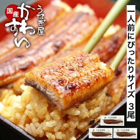 うなぎ 国産 かわすい うなぎ蒲焼き 送料無料 120g×3本 【うなぎ屋かわすい】 グルメ ウナギ 鰻 蒲焼 ひつまぶし うな丼 うな重に 土用の丑の日 内祝いお返し 冷凍 誕生日プレゼント ギフト 高級 贈答 食べ物 喜ばれる