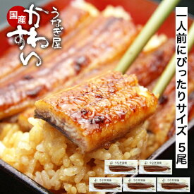 ＼クーポン利用で1,172円OFF／ うなぎ 国産 かわすい ＼楽天1位の極上鰻 ／ うなぎ蒲焼き 送料無料 120g×5本 【うなぎ屋かわすい】 グルメ ウナギ 鰻 蒲焼 ひつまぶし うな丼 うな重に 土用の丑の日 内祝いお返し 冷凍 誕生日プレゼント ギフト 高級 贈答 食べ物 喜ばれる