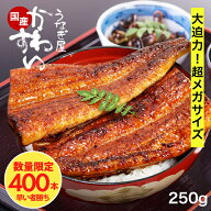 ＼大きい！超メガサイズ／ 400本限定 うなぎ 国産 かわすい 冷凍 うなぎ蒲焼き 超メガサイズ 250g×1本 …