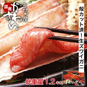 Ε Jj  YCKj Jbg 킢I yȂ킷z  3LTCY Y NNn  y 킢 YCI  ~Mtg Jj ~O ނg 킢I  