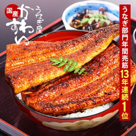 うなぎ 国産 かわすい ＼楽天うなぎ部門13年連続売第1位／ 冷凍 うなぎ蒲焼き 3種セット ウナギ 鰻 蒲焼き ひつまぶし グルメ 内祝い お返し ギフト 誕生日プレゼント 高評価レビュー4.6 【うなぎ屋かわすい】 送料無料 定期便 土用の丑の日 冬ギフト 年末年始 ご馳走