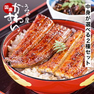 お好みに合わせて選べる！ うなぎ 国産 かわすい 冷凍 うなぎ蒲焼 選べる2種セット ウナギ 鰻 蒲焼き ひ…