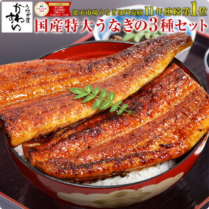 10年連続グルメ大賞 特大国産うなぎ蒲焼き3種セット うなぎ ウナギ 鰻 蒲焼き 国内産 国産 土用丑の日 お中元 ギフト 誕生日 食べ物 食品 お礼 内祝 送料無料 夏ギフト 御中元[MP][SI]
