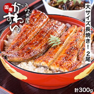 うなぎ 国産うなぎ 2尾300g 大サイズ うなぎ蒲焼き 長焼き かわすい 冷凍 送料無料 ウナギ 鰻 蒲焼 蒲焼…