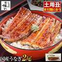 ＼通常7290円→大特価 5350円！土用丑 まだ間に合う／ お中元 うなぎ 国産 送料無料 蒲焼き 2尾 300g うなぎ屋かわす…
