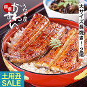 ＼通常7290円→大特価 5350円！土用丑に／ お中元 うなぎ 国産 送料無料 蒲焼き 2尾 300g うなぎ屋かわすい グルメ 夏…