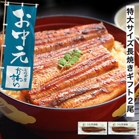 お中元 うなぎ ギフト 国産 かわすい ＼楽天1位の極上鰻／ 冷凍 送料無料 特大 うなぎ蒲焼き 170g×2本 【うなぎ屋かわすい】 2尾 グルメ ウナギ 鰻 蒲焼き 内祝い お返し 誕生日プレゼント 食べ物 喜ばれる 贈答 高級 父の日 義父 義母 御中元