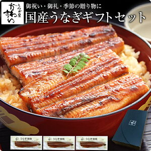 hV̓ Ȃ Ă  Mtg 卑YȂĂ 170g×3{Zbg Ȃ킷 a j  j ސEj  v[g  O hV̓Mtg Hi 