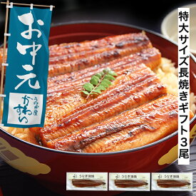 お中元 ギフト うなぎ 国産 かわすい ＼楽天1位の極上鰻／ 冷凍 送料無料 特大 うなぎ蒲焼き 170g×3本 【うなぎ屋かわすい】 グルメ ウナギ 鰻 蒲焼き ひつまぶし うな丼 土用の丑の日 内祝い お返し 誕生日プレゼント 食べ物 喜ばれる 贈答 高級 贅沢 義父 義母 御中元