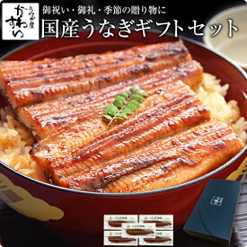 ギフト セット 父の日 うなぎ 蒲焼き特特大国産うなぎ蒲焼き 170g×5本セット誕生日 お祝い お礼 内祝い 退職祝い 贈答 ギフト プレゼント 高級 グルメ 食品 食べ物 国産 うなぎ ウナギ 鰻 親戚 取引先 定番 送料無料 5尾