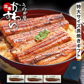 ギフト うなぎ 国産 かわすい ＼楽天1位の極上鰻／ 冷凍 送料無料 特大 うなぎ蒲焼き 170g×3本 【うなぎ屋かわすい】 グルメ ウナギ 鰻 蒲焼き ひつまぶし うな丼 土用の丑の日 内祝い お返し 誕生日プレゼント 食べ物 喜ばれる 贈答 高級 冬ギフト