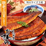 ＼敬老の日カード選べます／ うなぎ 国産 かわすい 冷凍 送料無料 特大 長焼き うなぎ蒲焼き 170g×3本 …