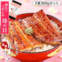 ＼ソーシャルギフト なら まだ間に合う／ 母の日 ギフト うなぎ 国産 かわすい 冷凍 うなぎ蒲焼き 2尾300g 大サイズ ウナギ 鰻 蒲焼き ギフト 内祝い お返し【うなぎ屋かわすい】 送料無料 グルメ 食品 食べ物 喜ばれる 2尾 誕生日プレゼント 母親 父親 プレゼント