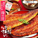 ＼土日も休まず出荷中／ 遅れてごめんね 母の日 ギフト うなぎ 国産 かわすい 冷凍 うなぎ蒲焼き 3種セット ウナギ 鰻…