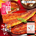 今ならポイント10倍！ うなぎ 国産 かわすい ＼楽天うなぎ部門13年連続売第1位／ 冷凍 うなぎ蒲焼き 3種セット ウナギ…