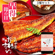 母の日 P5倍！ うなぎ 国産 かわすい ＼楽天うなぎ部門13年連続売第1位／ 冷凍 うなぎ蒲焼き 3種セット …