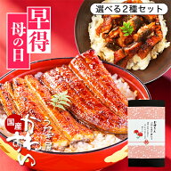 母の日 P5倍！ うなぎ 国産 かわすい＼楽天1位の極上鰻／ 冷凍 うなぎ蒲焼 選べる2種セット ウナギ 鰻 蒲…