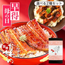 今ならポイント10倍！ うなぎ 国産 かわすい＼楽天1位の極上鰻／ 冷凍 うなぎ蒲焼 選べる2種セット ウナギ 鰻 蒲焼き ひつまぶし うな丼 グルメ 内祝い お返し 誕生日プレゼント ギフト 長寿祝い【うなぎ屋かわすい】送料無料 土用丑 食べ物 喜ばれる 母の日 早割 プレゼント