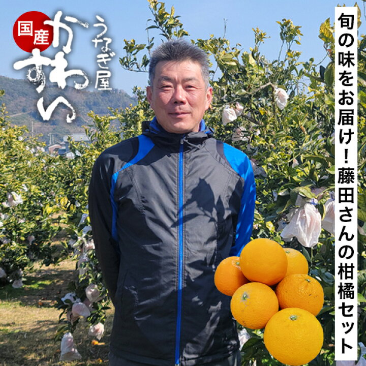 楽天市場】＼旬の柑橘をお届け／ 藤田さんの柑橘詰め合わせセット 5kg 