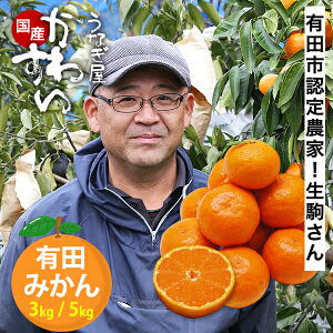 _݂̖{ELcY^TCYIׂI̗Lc݂ 12{ȍ~  a̎R ~J  ݂ Lc~J 3kg 3L 5kg 5L󂠂 LcsF_ S M L