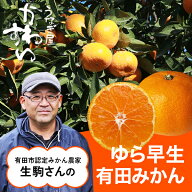 ＼希少品種！甘くて濃厚／ ゆら早生みかん 有田みかん サイズが選べる 予約販売 10月下旬以降発送 極早生…