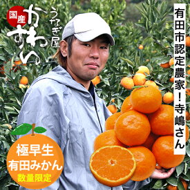 ＼希少品種 ゆら早生 有田から産直／サイズが選べる！寺嶋さんの有田みかん収穫次第順次発送 極早生 数量限定 有田みかん 送料無料 うなぎ屋かわすい 和歌山 ミカン 蜜柑 みかん 有田ミカン フルーツ 小玉 小粒 訳あり 果物 産地直送 早生 3kg 3キロ 5kg 5キロ