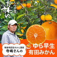 ＼希少品種！甘くて濃厚／ ゆら早生みかん 有田みかん サイズが選べる 予約販売 10月下旬以降発送 極早生…