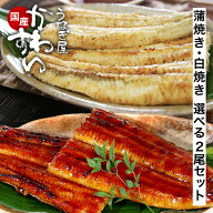 うなぎ 国産 かわすい ＼楽天1位の極上鰻 ／ 冷凍 うなぎ蒲焼き 選べる 2尾セット 蒲焼き 白焼き 120g ウ…