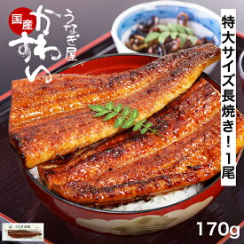うなぎ 国産 かわすい ＼楽天1位の極上鰻／ 冷凍 特大 うなぎ蒲焼き 170g×1本 【うなぎ屋かわすい】 グルメ ウナギ 鰻 蒲焼き ひつまぶし うな丼 土用の丑の日 内祝い お返し 誕生日プレゼント 土用丑 土用の丑の日 食べ物 喜ばれる 贈答 ギフト 秋グルメ